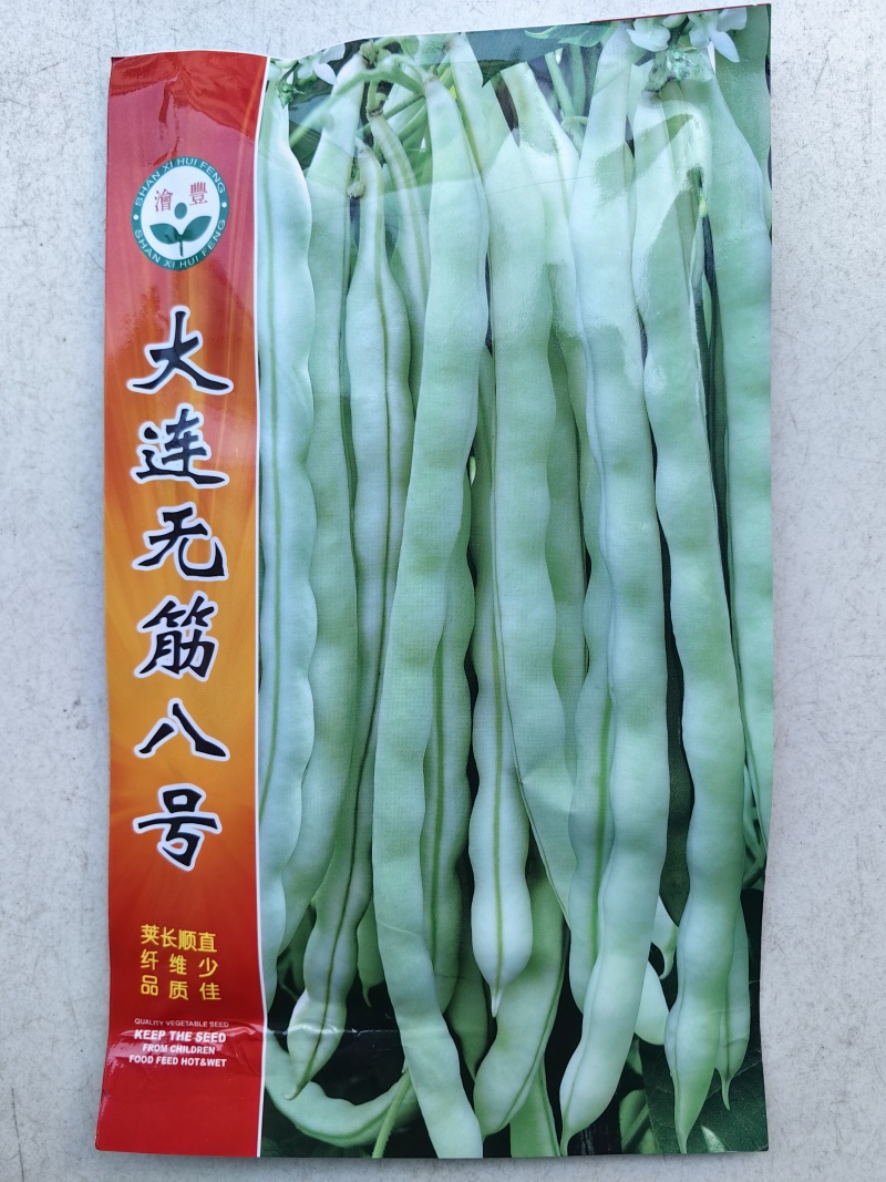 大连无筋八号架豆种子白芸豆四季豆架豆白不老豆角种子籽春秋