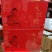 24年的茶树有图有真相品质好独一无二厂家直销性价比很高