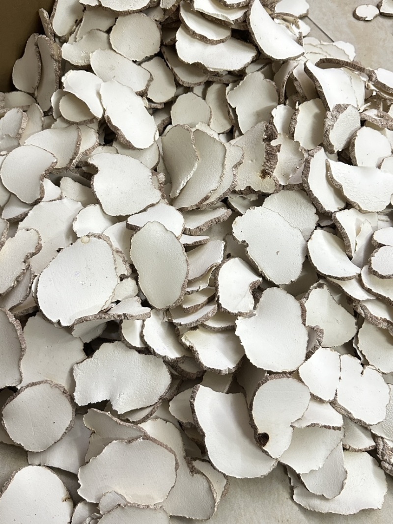 优质虎乳菌切片虎乳菌虎乳灵芝来袭价格优势