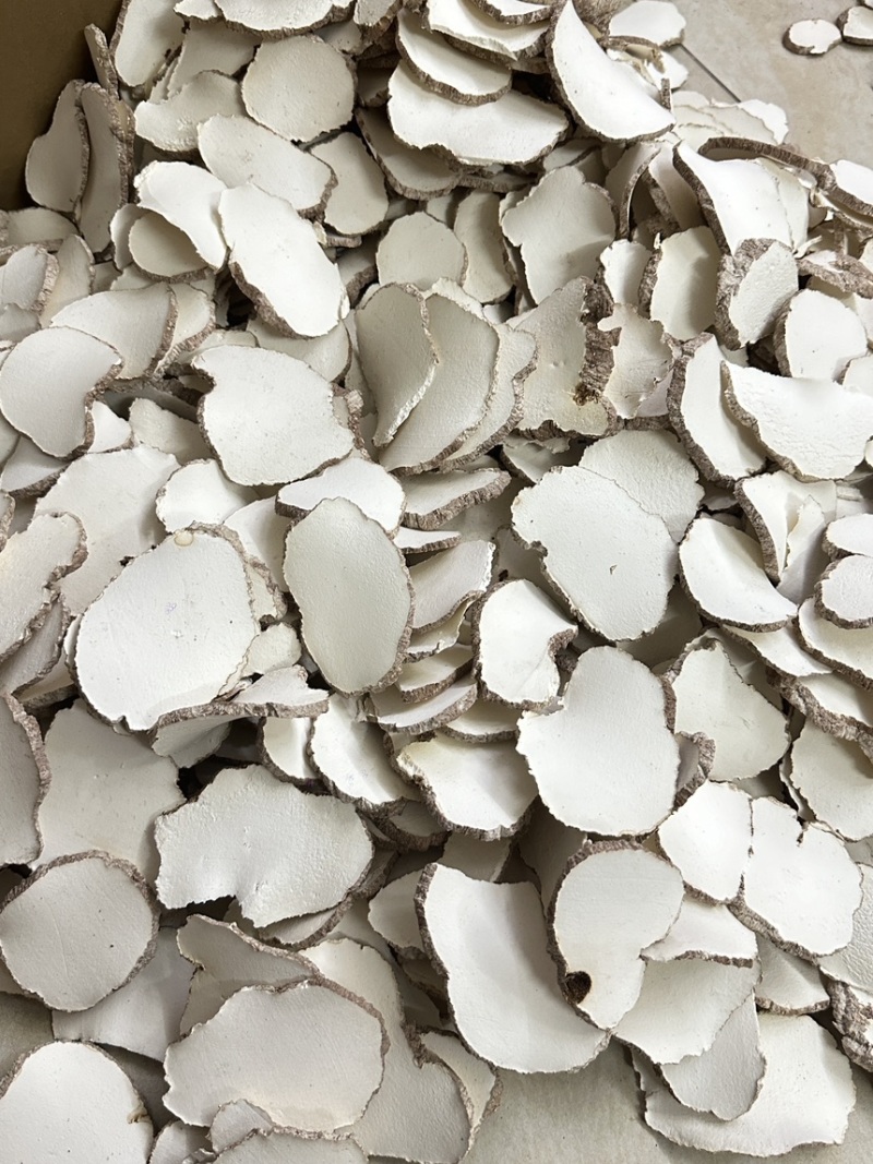优质虎乳菌切片虎乳菌虎乳灵芝来袭价格优势