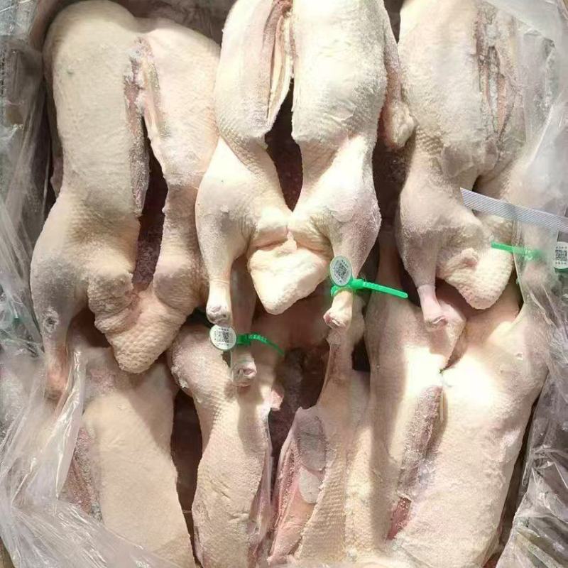 开胸白条鸭