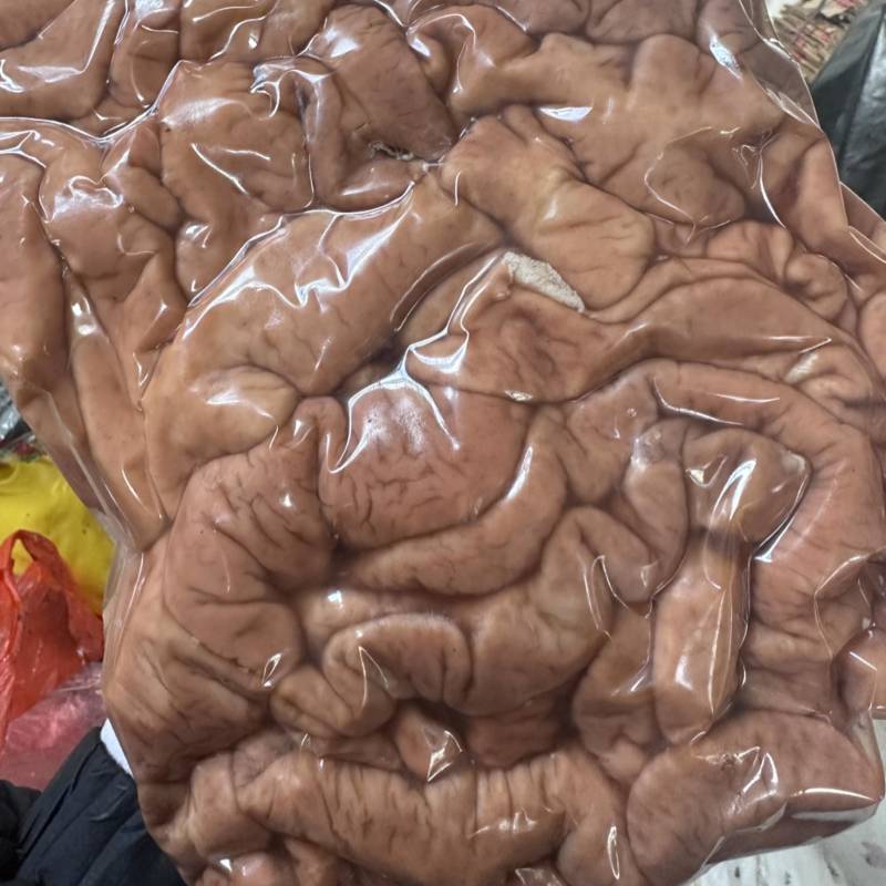 猪大肠
