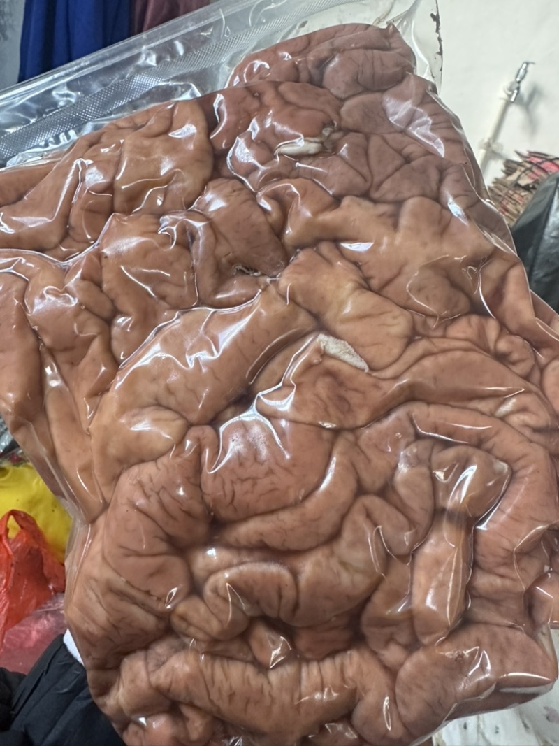 猪大肠