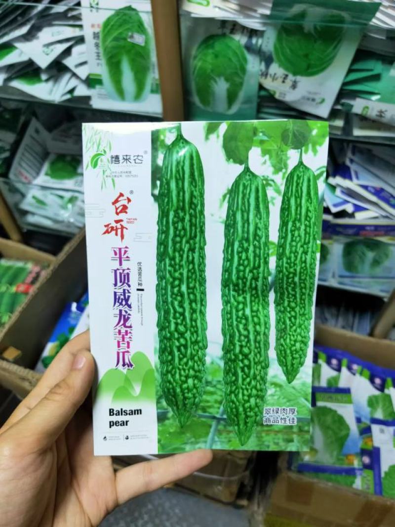 平顶威龙绿苦瓜种子农户种植户专用果实翠绿果肉小果腔小