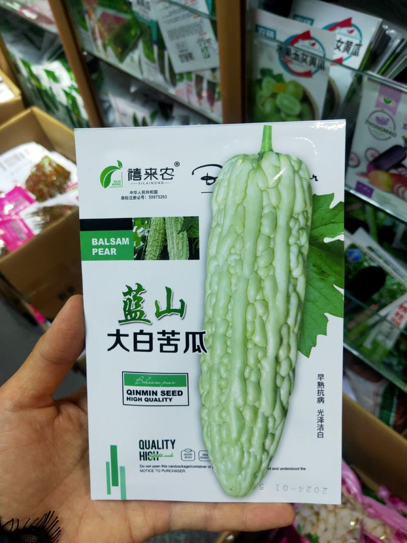 蓝山大白苦瓜种子果实长圆筒型抗病早熟耐热农家庭院阳台种植