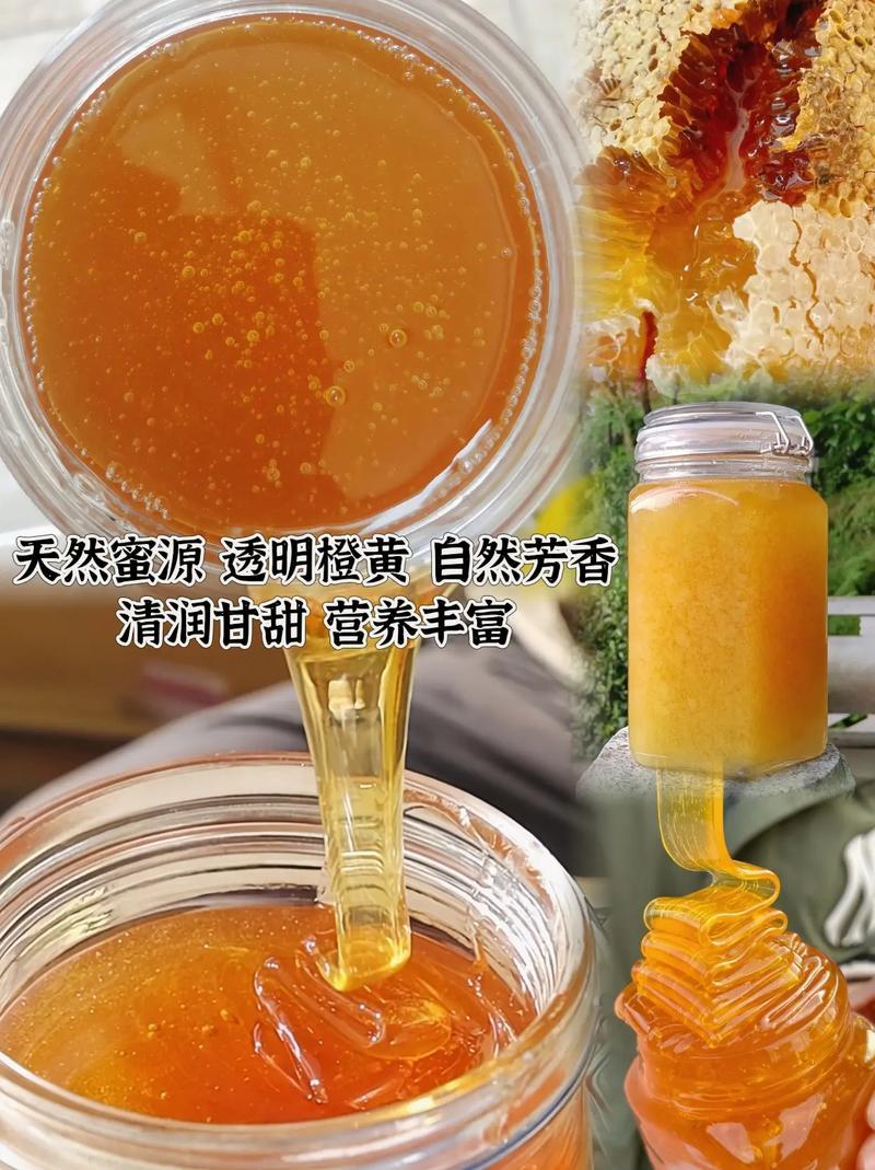 【推荐】广东茂名精品土蜂蜜产地直发品质保障价格美丽