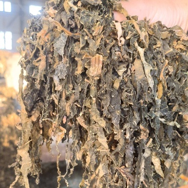 浙江梅干菜，扣饼，无沙无尘货源稳定欢迎来电咨询