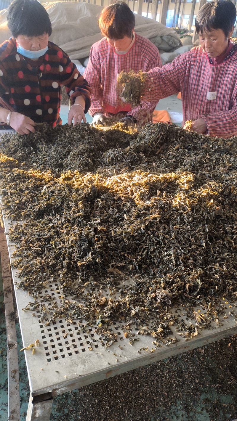 浙江梅干菜，扣饼，无沙无尘货源稳定欢迎来电咨询