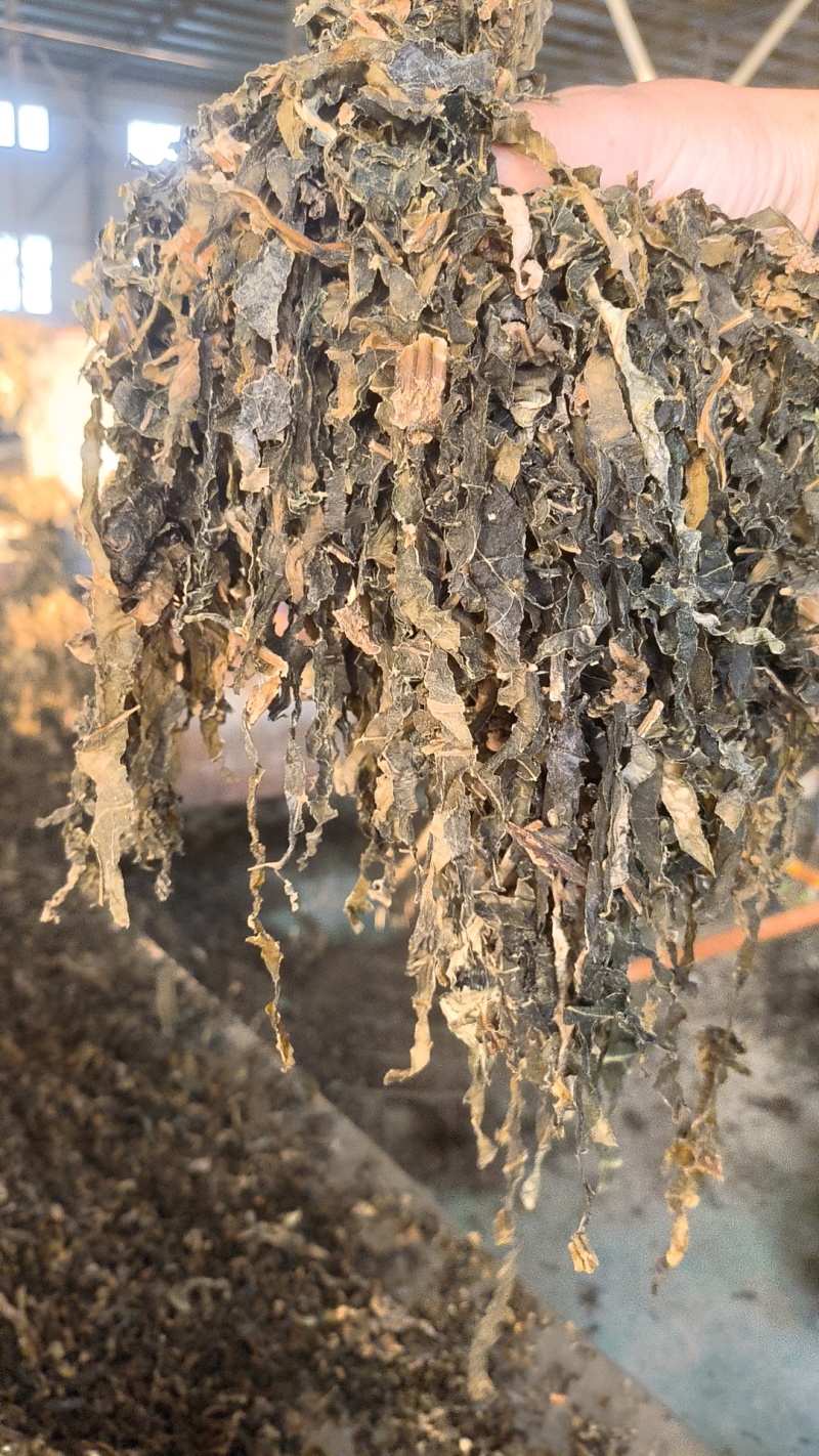 浙江梅干菜，扣饼，无沙无尘货源稳定欢迎来电咨询
