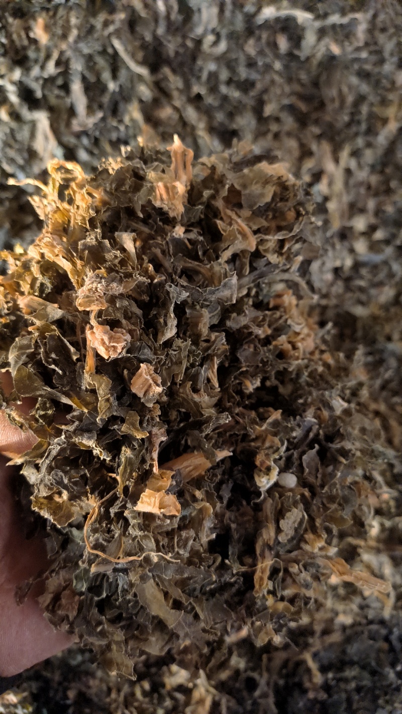 浙江梅干菜，扣饼，无沙无尘货源稳定欢迎来电咨询
