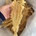 挪威鳕鱼胶清水货7-9头一斤特大号胶厚花胶