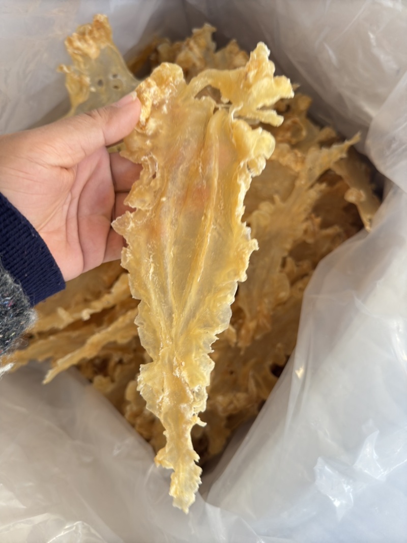 挪威鳕鱼胶清水货7-9头一斤特大号胶厚花胶