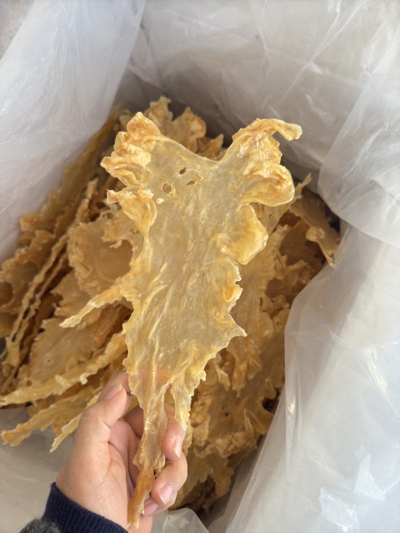 挪威鳕鱼胶清水货7-9头一斤特大号胶厚花胶
