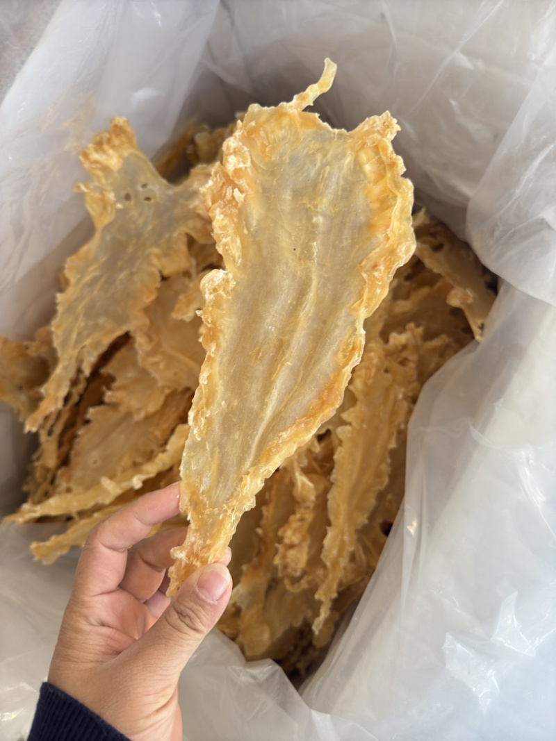 挪威鳕鱼胶清水货7-9头一斤特大号胶厚花胶