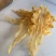 挪威鳕鱼胶清水货7-9头一斤特大号胶厚花胶