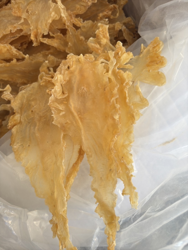 挪威鳕鱼胶清水货7-9头一斤特大号胶厚花胶
