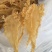 挪威鳕鱼胶清水货7-9头一斤特大号胶厚花胶