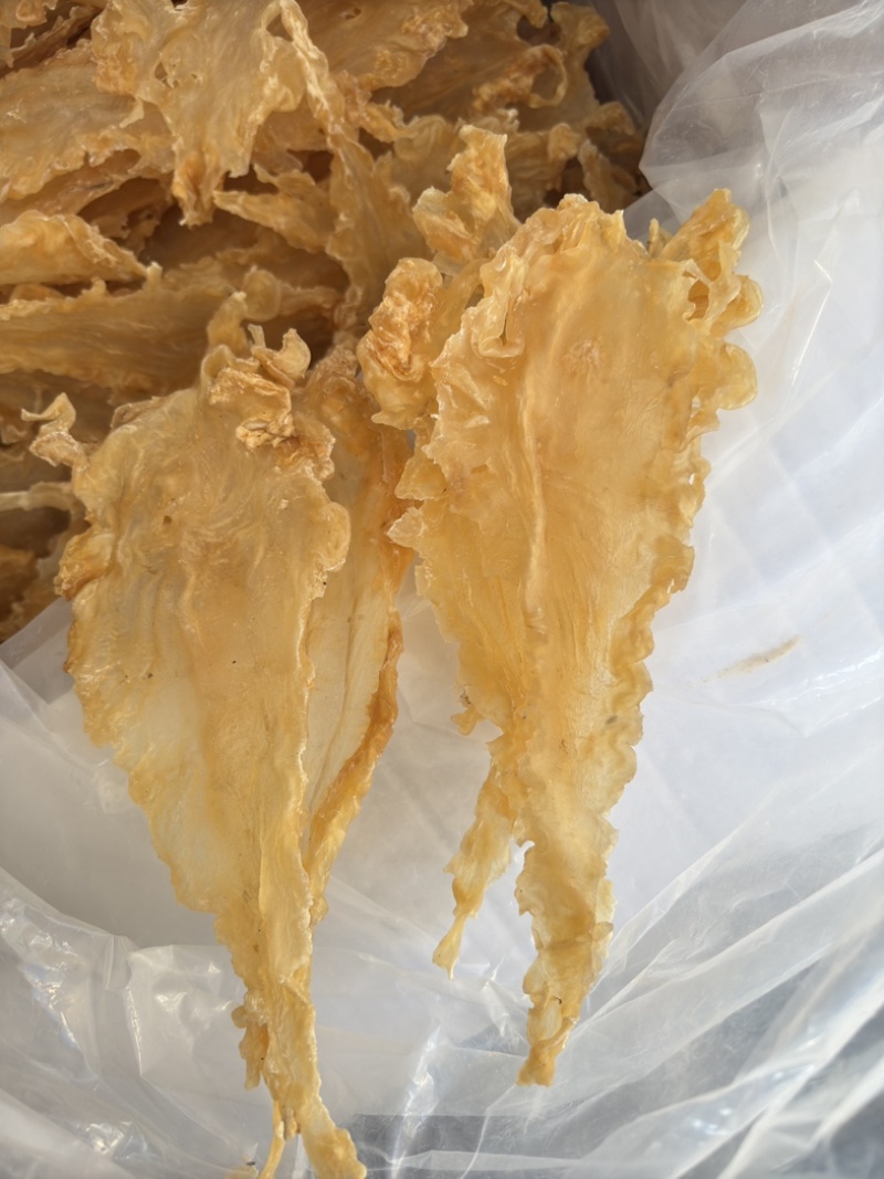 挪威鳕鱼胶清水货7-9头一斤特大号胶厚花胶