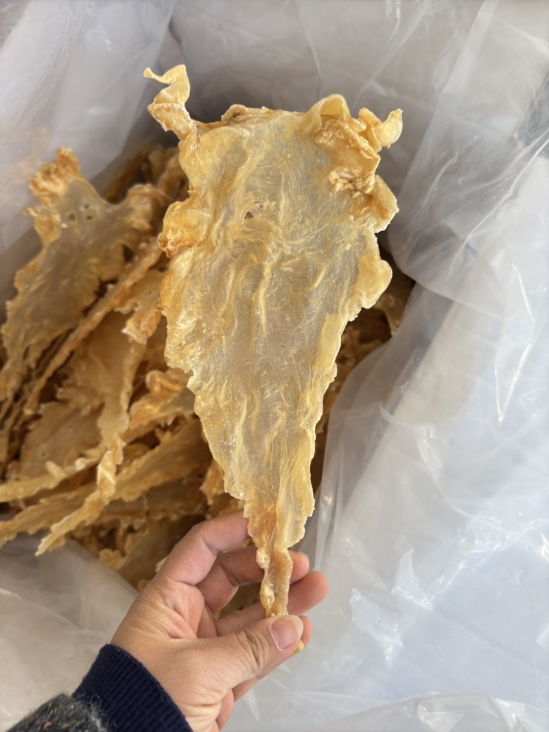 挪威鳕鱼胶清水货7-9头一斤特大号胶厚花胶