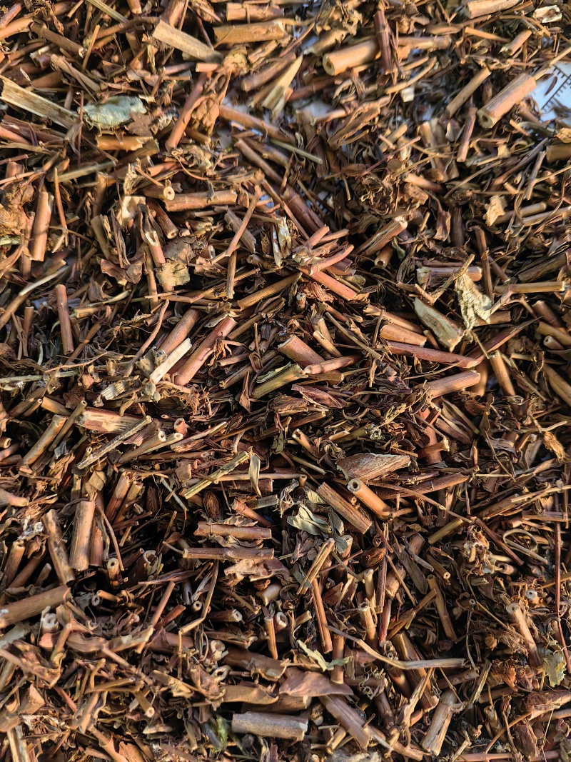 贯叶连翘遍地产地直销一手货源批发各种中药材
