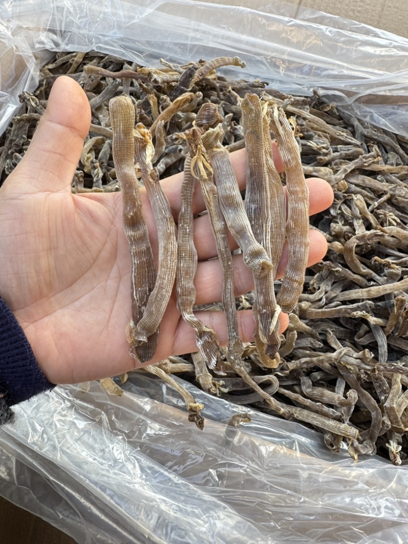 北海野生灰沙虫淡干无沙大号280-300头一斤
