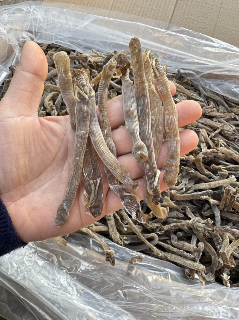 北海野生灰沙虫淡干无沙大号280-300头一斤