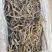 北海野生灰沙虫淡干无沙大号280-300头一斤
