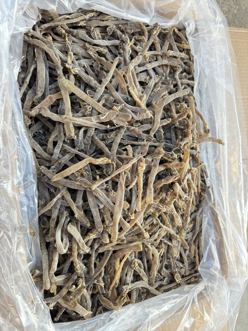 北海野生灰沙虫淡干无沙大号280-300头一斤
