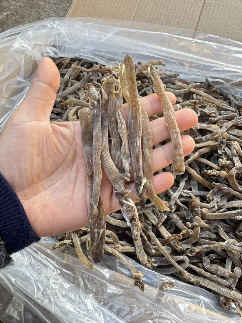 北海野生灰沙虫淡干无沙大号280-300头一斤