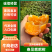 四川武胜耙耙柑,自家种植园，稳定供货，欢迎来购