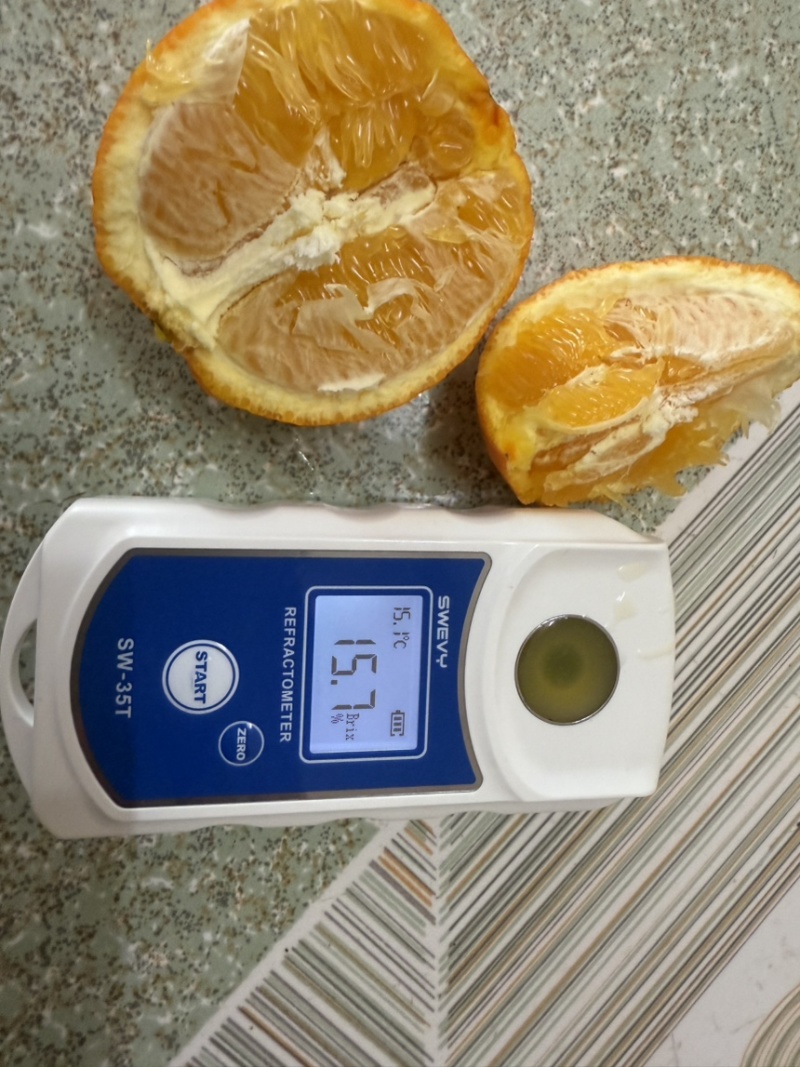 圆红纽荷尔脐橙大量供应，货源充足，量大从优