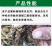 1%噻虫胺杀虫药颗粒剂撒施触毒胃杀厂家直销农药大全正品