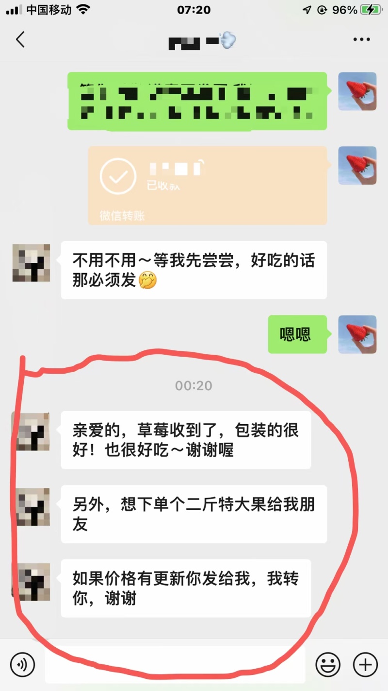 【一件代发丹东东港九九草莓只做尖货真空包装招代理