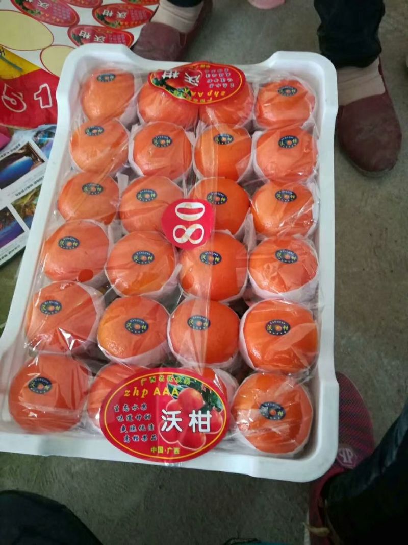 广西沃柑正宗武鸣沃柑承接商超电商供货代收代发全国