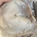 牛大肠伞带大量有货品质保证价格实惠全国发货