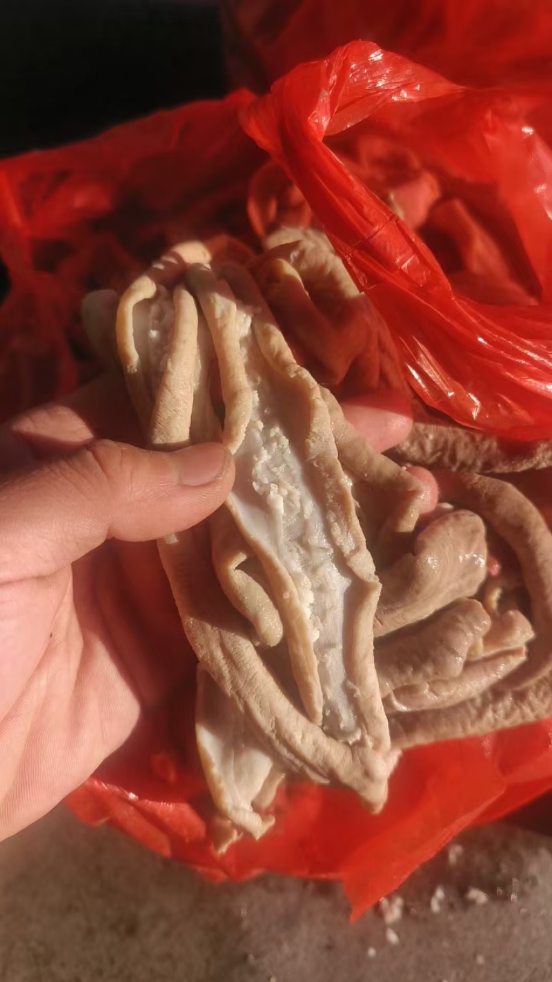 无水牛小肠一手货源价格实惠品质保障欢迎致电咨询