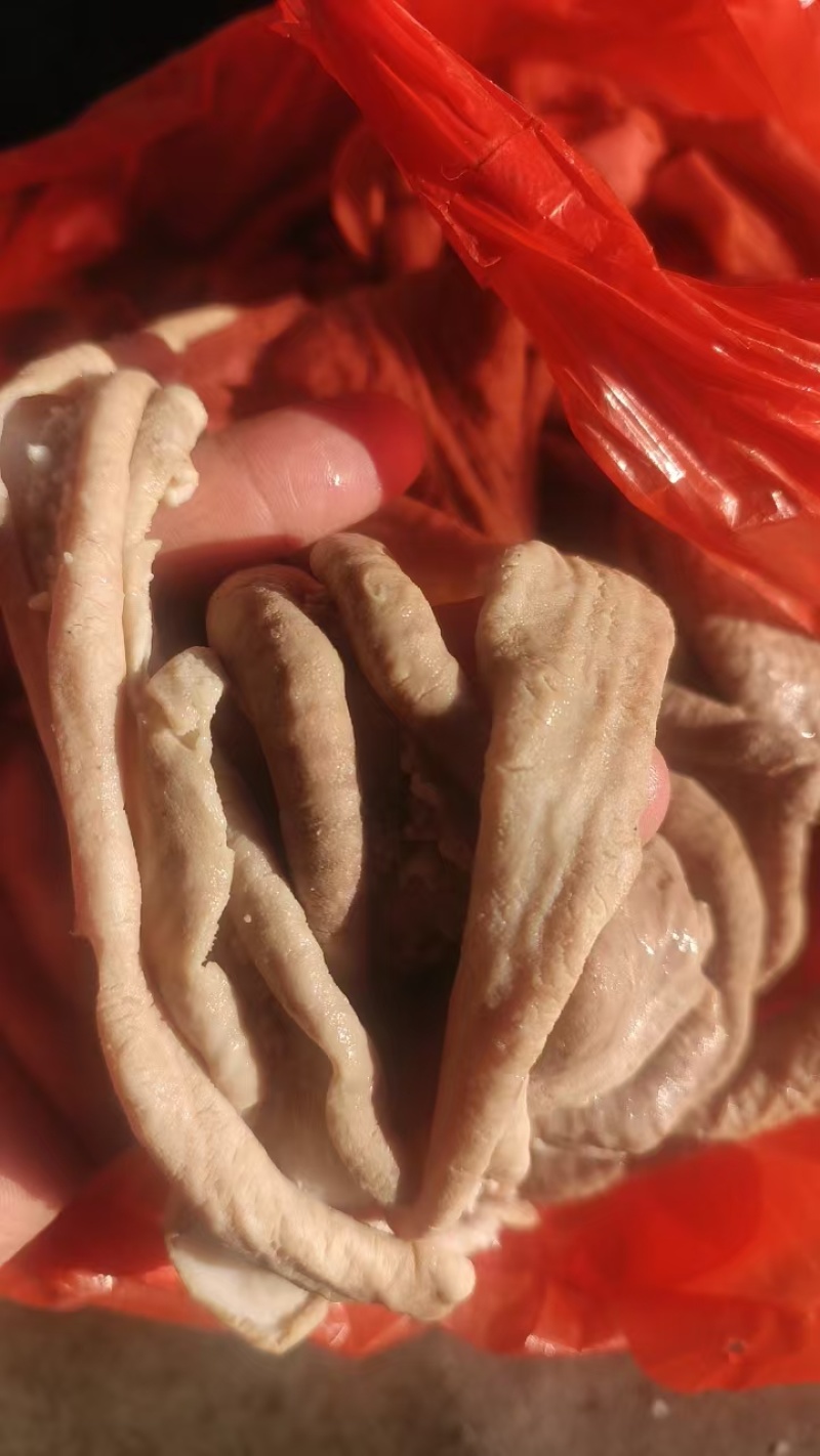 无水牛小肠一手货源价格实惠品质保障欢迎致电咨询