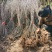 四川苹果苗苗现挖现发视频看货全国可发