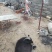 【正宗】蒙山黑山羊羊腔子基地直发保质保量现杀现发