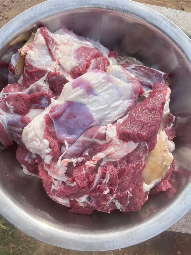 【正宗】蒙山黑山羊羊腔子基地直发保质保量现杀现发