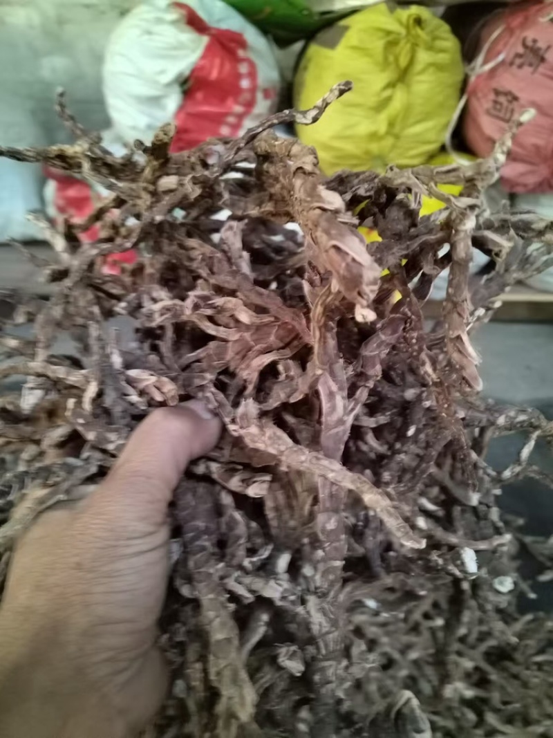 【好货推荐】香菖蒲大量上市货源充足量大从优欢迎选购