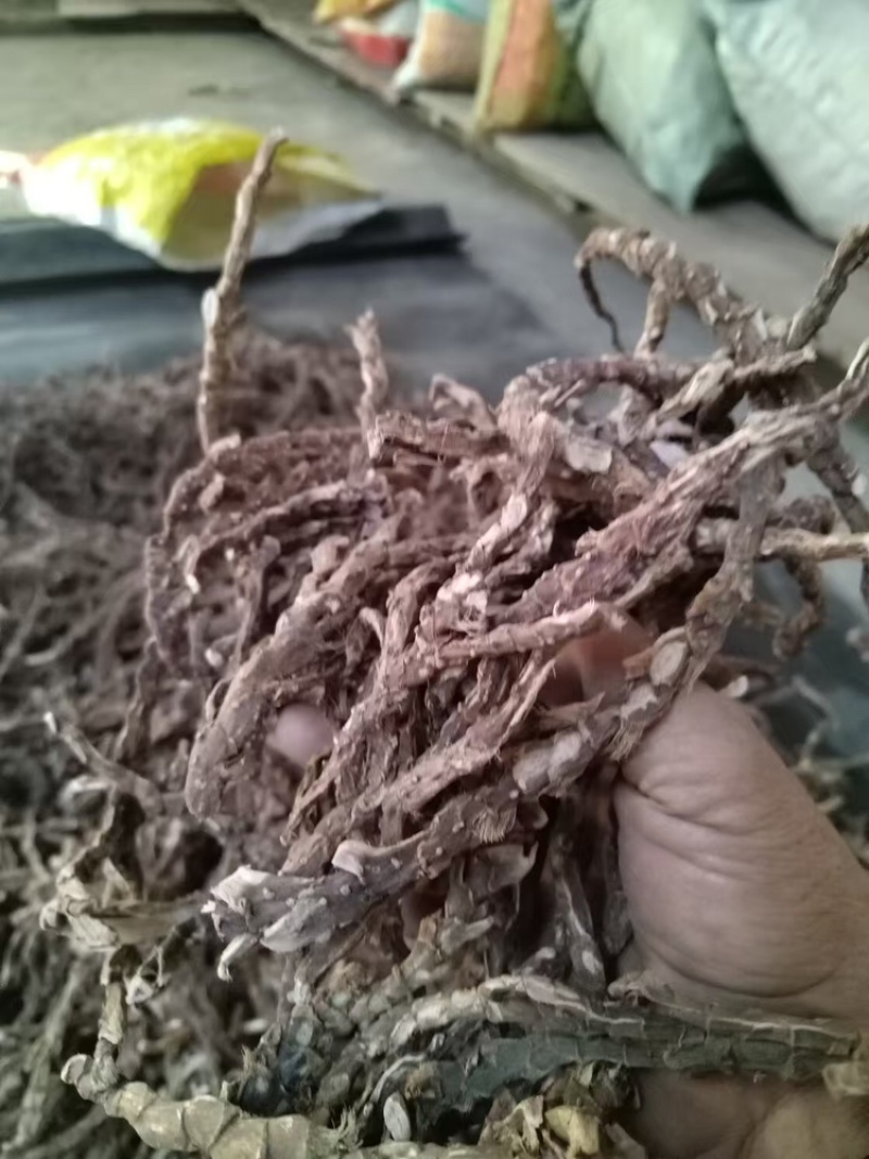 【好货推荐】香菖蒲大量上市货源充足量大从优欢迎选购
