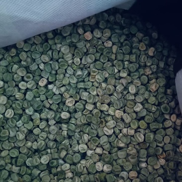 长寿仁干货干货干货100吨
