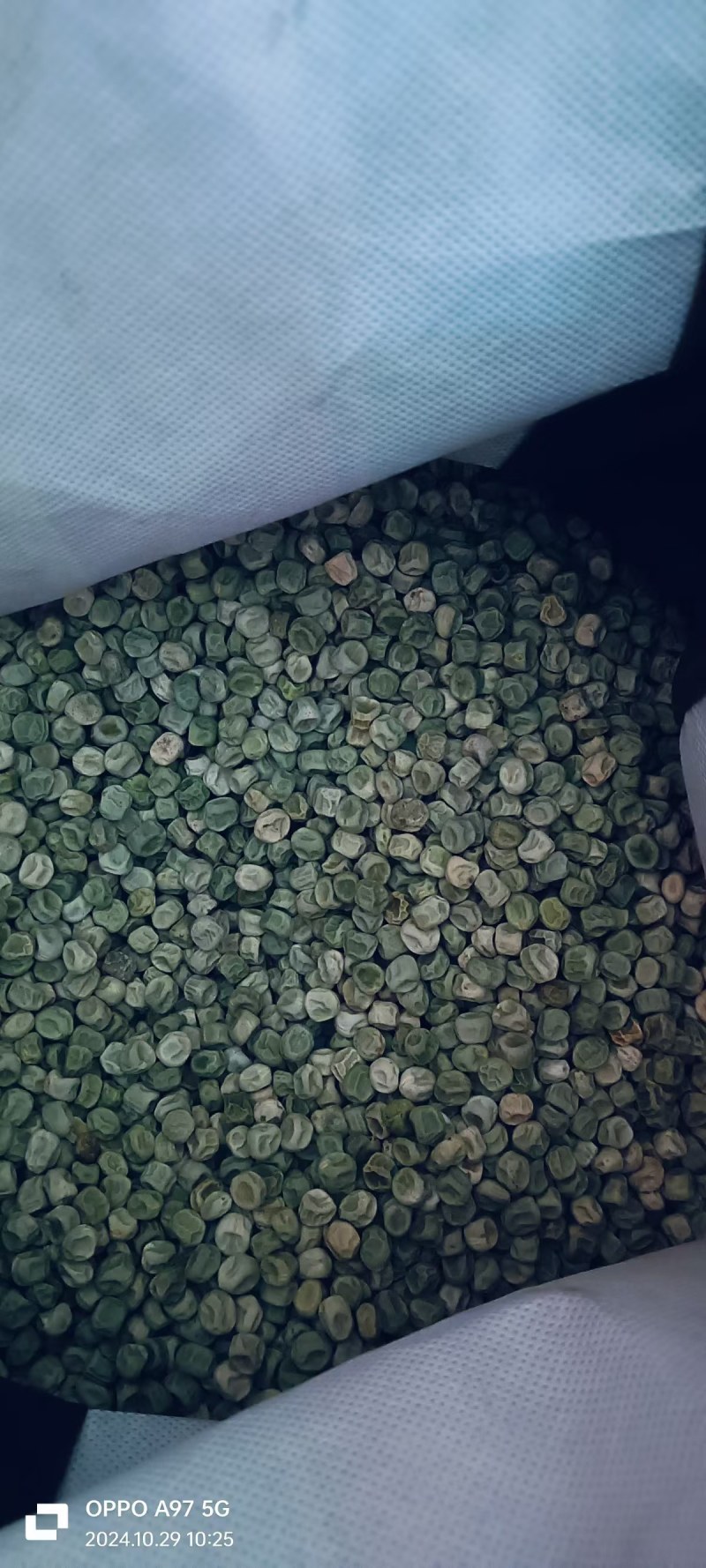 长寿仁干货干货干货100吨