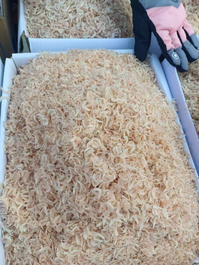 淡干虾皮大量现货支持一件代发对接各大电商欢迎联系