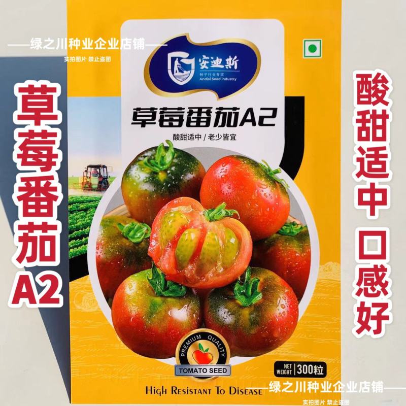 东北草莓番茄种子铁皮柿子种子酸甜四季粉红果绿肩西红柿水果