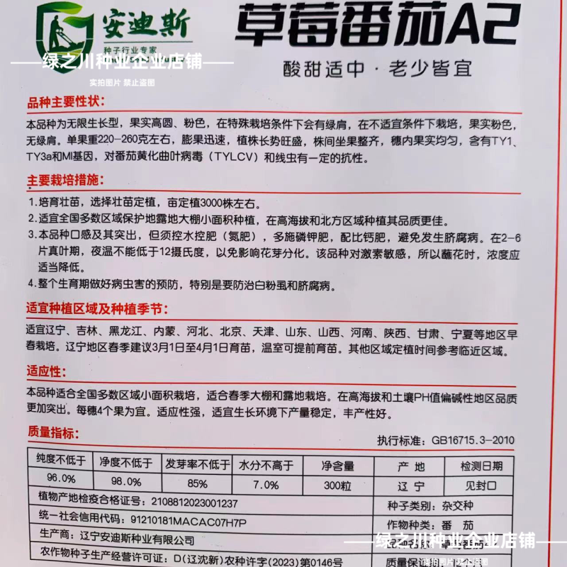 东北草莓番茄种子铁皮柿子种子酸甜四季粉红果绿肩西红柿水果