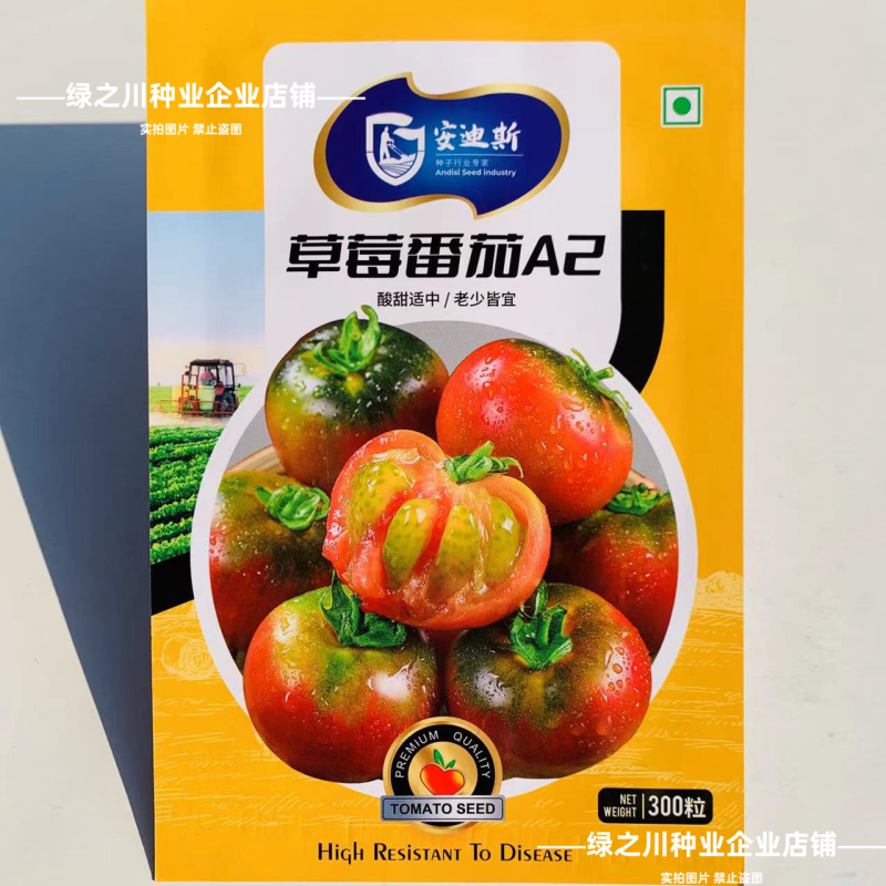 东北草莓番茄种子铁皮柿子种子酸甜四季粉红果绿肩西红柿水果
