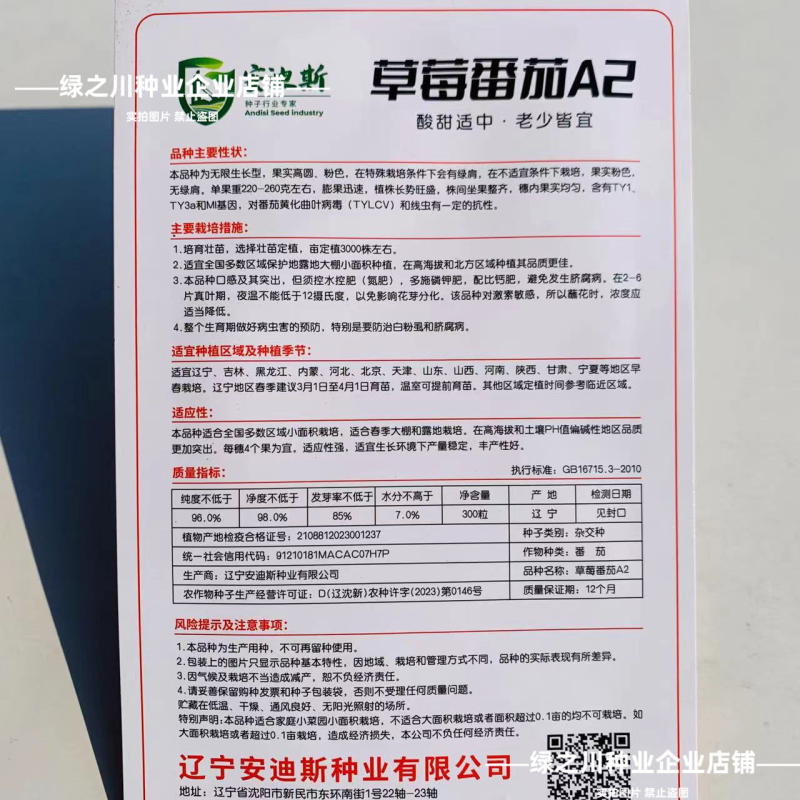 东北草莓番茄种子铁皮柿子种子酸甜四季粉红果绿肩西红柿水果