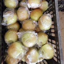 玉露香梨